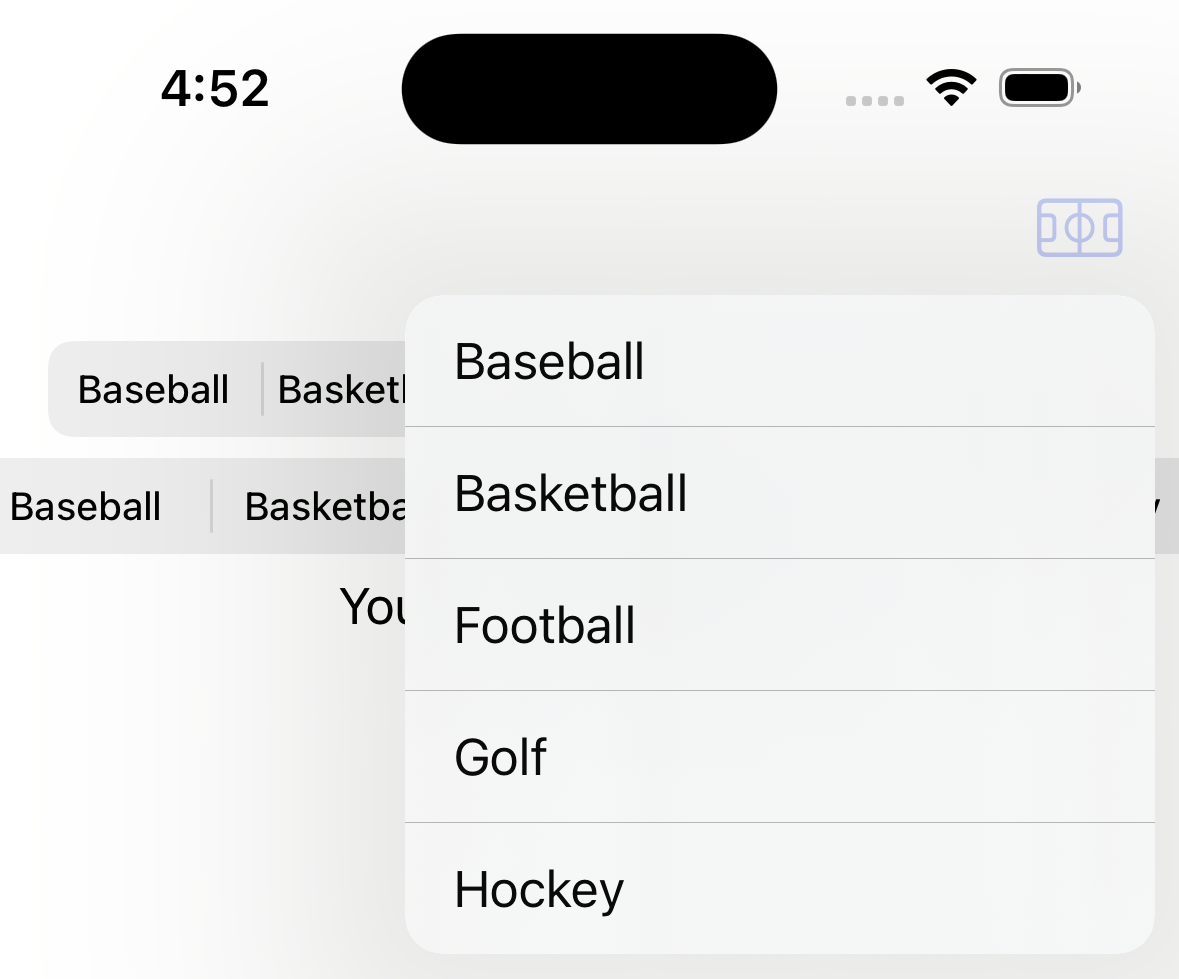 SwiftUI ControlGroup toolbar open SwiftUI ControlGroup toolbar open