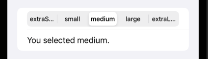 SwiftUI Picker segmented SwiftUI Picker segmented