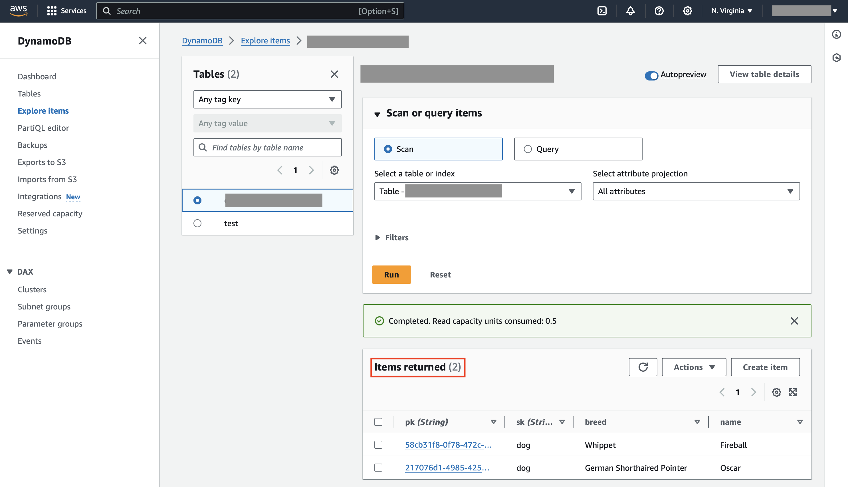 AWS DynamoDB results