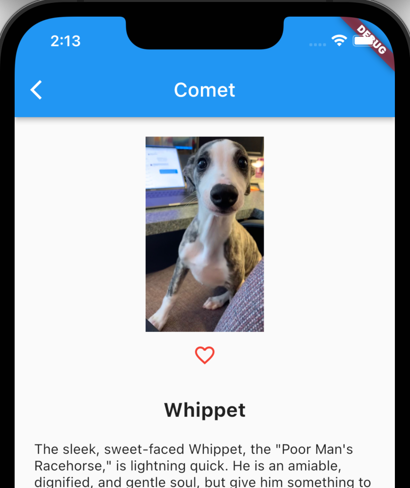 Flutter Hero Detail View Flutter Hero Detail View