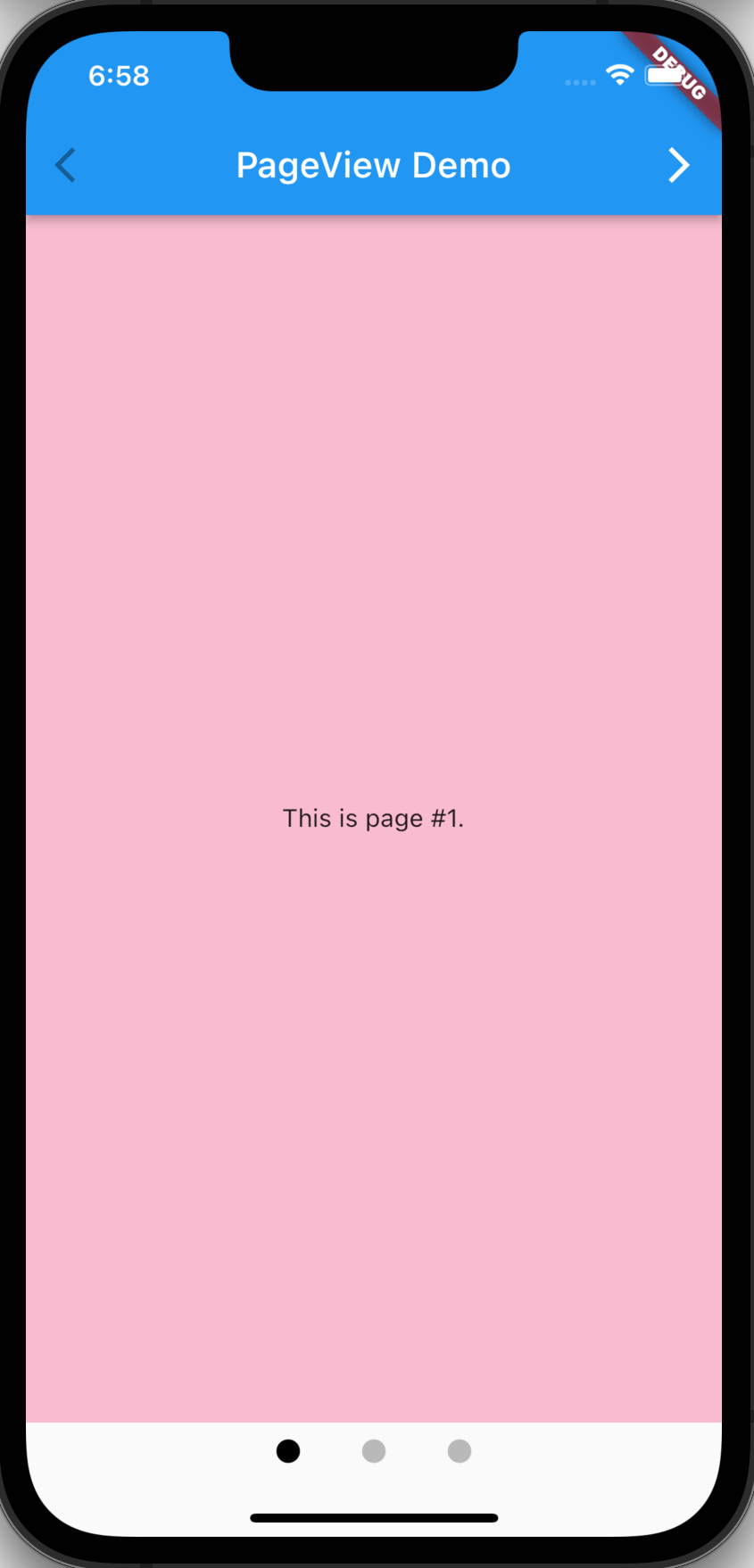 Flutter PageView Flutter PageView