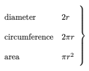 LaTeX array delimiters