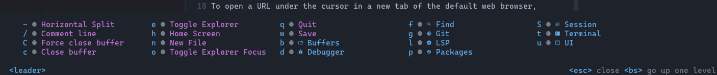 which-key <leader>