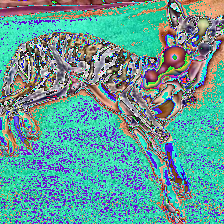 preprocessed image