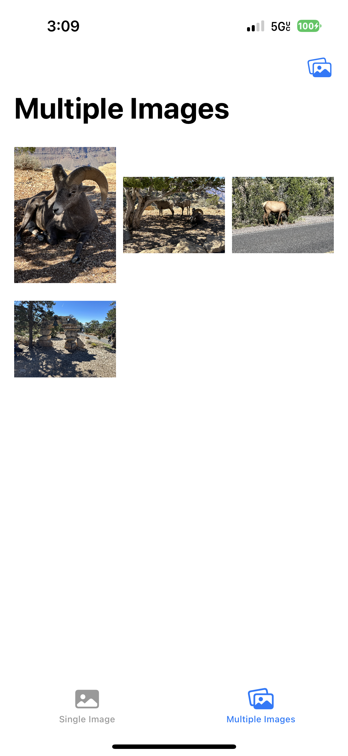 PhotosPicker Multiple